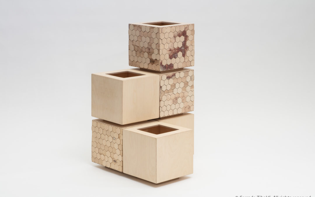 Hex Wood